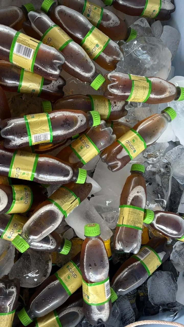 Malt drinks with green caps chilling among clear ice cubes